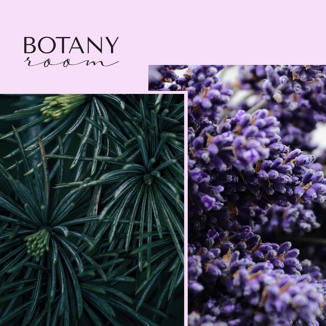 BotanyRoom Breathe Easy Spray Ambiente e Tessuti 100 ml