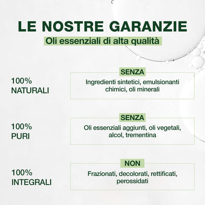 Pranarôm Meditazione Bio Oli Essenziali per Diffusione 30 ml