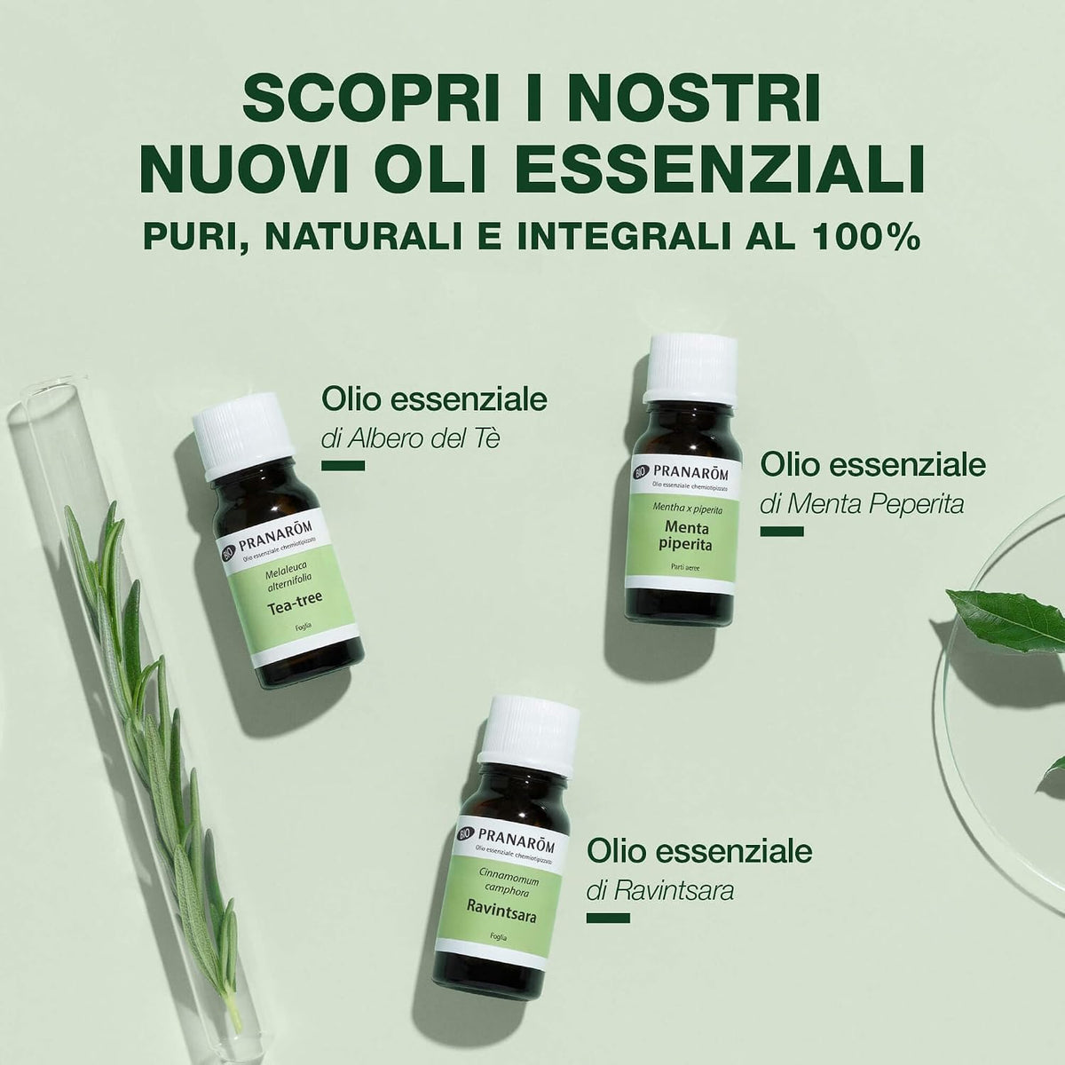 Pranarôm Ylang-Ylang Totum Bio Olio Essenziale 5 ml