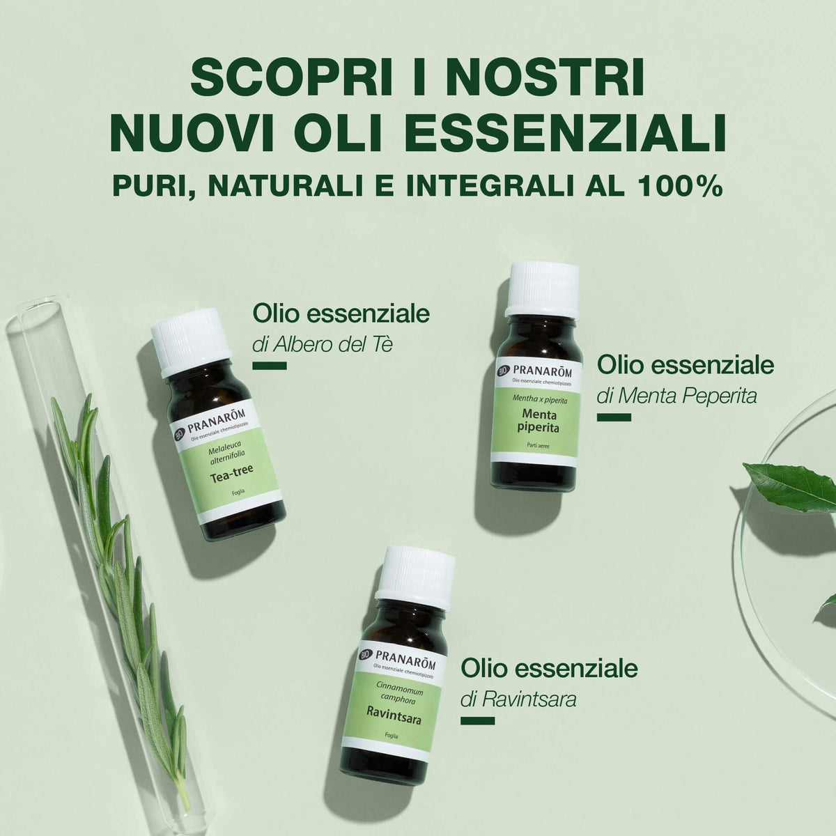 Pranarôm Ylang-Ylang Totum Bio Olio Essenziale 5 ml